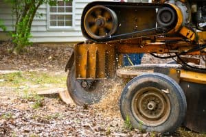 Nassau County Stump Grinding